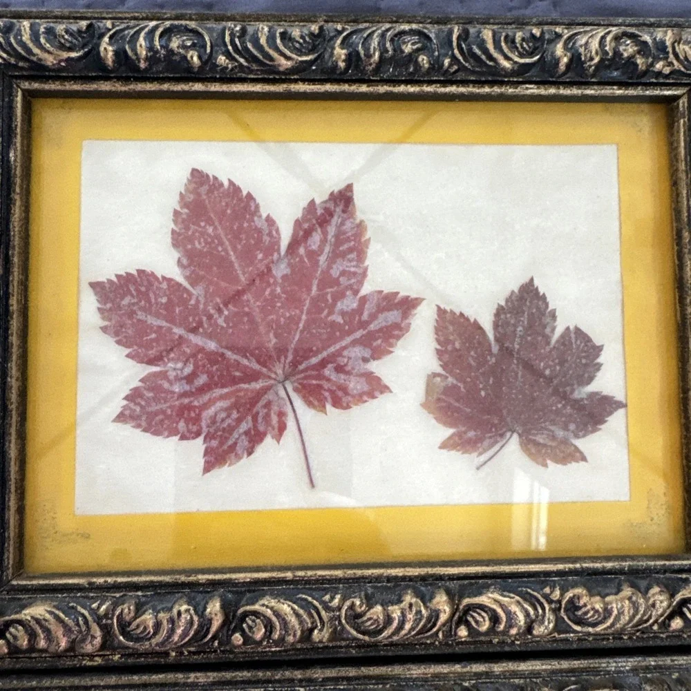 Vintage Pressed Flower Botanical Wall Art Lot of 4 Framed Nature Cottage Decor